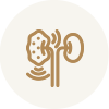 Renal & Dialysis Centre