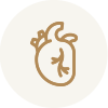Heart, Lung & Vascular Centre